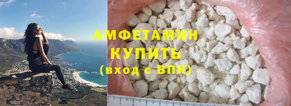 крисы Инта