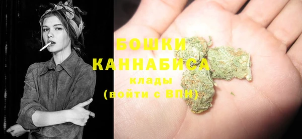 ALPHA PVP Каменка