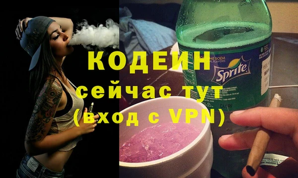 крисы Инта