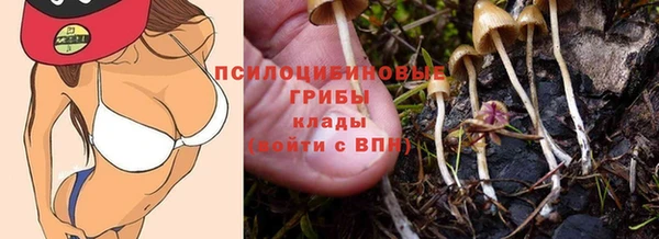 ALPHA PVP Тавда