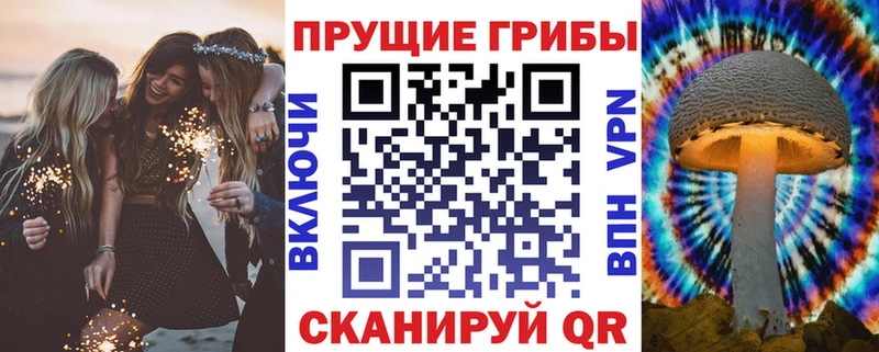 Галлюциногенные грибы Cubensis  Жигулёвск 
